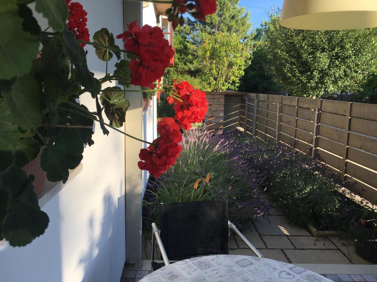 Szélrózsa apartmanház Velence Extérieur photo